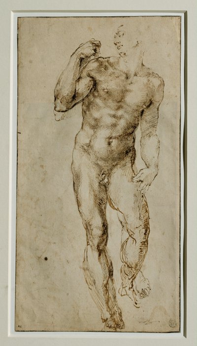 Manlig nakenbild, framifrån, ca 1502-1506 ... av Michelangelo Buonarroti