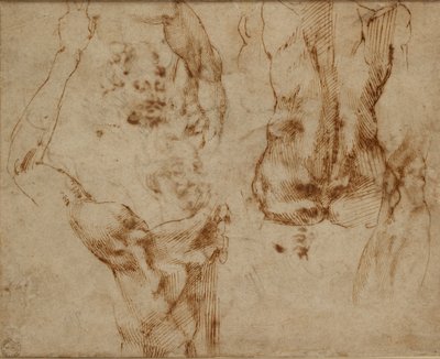 swedish av Michelangelo Buonarroti