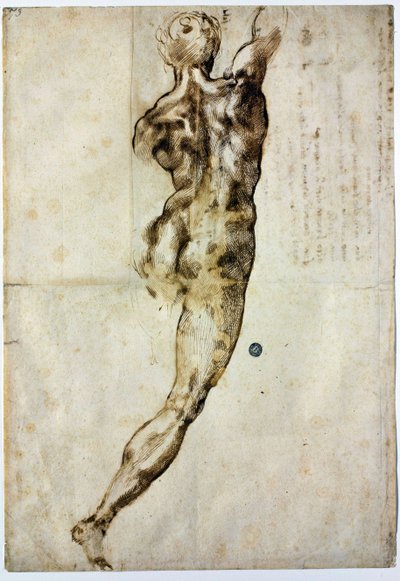 Naken bakifrån, c. 1504 av Michelangelo Buonarroti