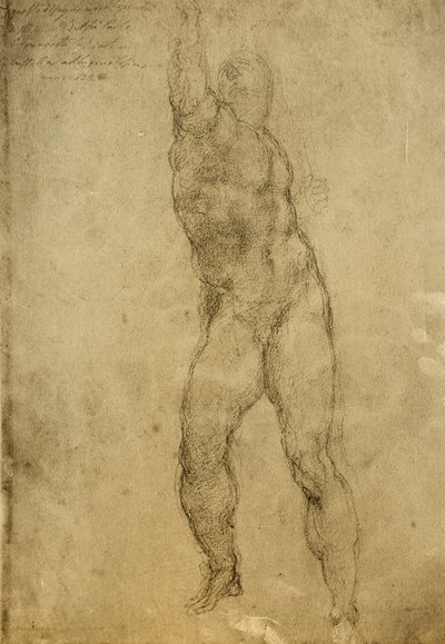 Nakenstudie, teckning av Michelangelo. Gallerie dellAccademia, Venedig av Michelangelo Buonarroti