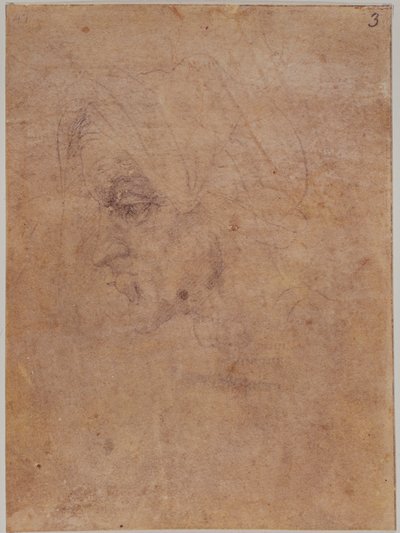 Profil av en gammal kvinna av Michelangelo Buonarroti