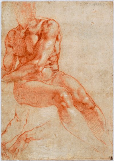 Sittande ung manlig naken- och tvåarmsstudier, ca 1510-1511 av Michelangelo Buonarroti