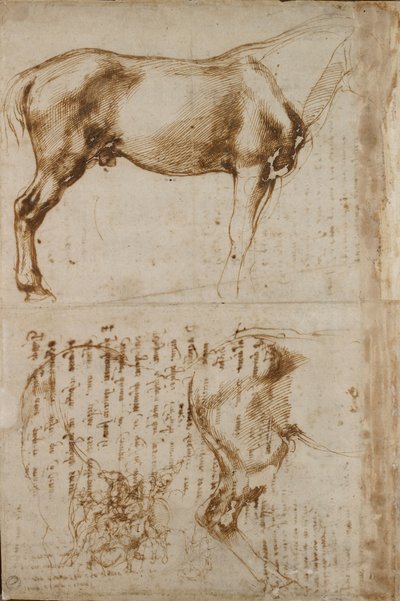 Studier av en häst och en ryttare som attackerar fotsoldater, tidigt 1500-tal av Michelangelo Buonarroti