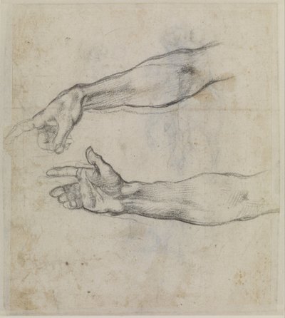Studier av en utsträckt arm för fresken "Noas berusning" i Sixtinska kapellet, ca 1508-09 (svart krita på papper) av Michelangelo Buonarroti
