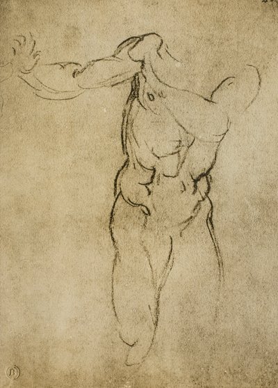 Studera för en maskulin byst, teckning av Michelangelo. Casa Buonarroti, Florens av Michelangelo Buonarroti