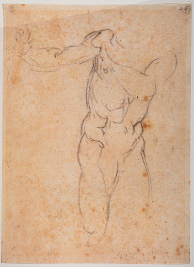 Studie för Adam av "Fördrivningen från Pardiso" i Sixtinska kapellet av Michelangelo Buonarroti