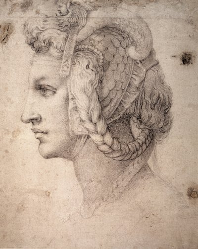 Studie af Head swed av Michelangelo Buonarroti