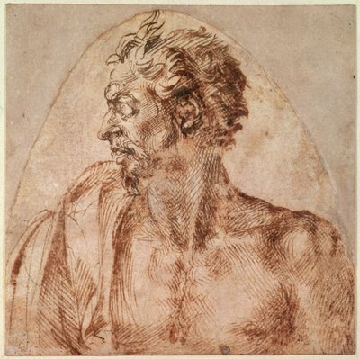 Studie af hoved og skuldre (blæk på papir) swed av Michelangelo Buonarroti