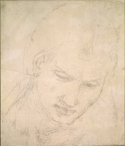 Studie av ett huvud, c1490-1560 av Michelangelo Buonarroti