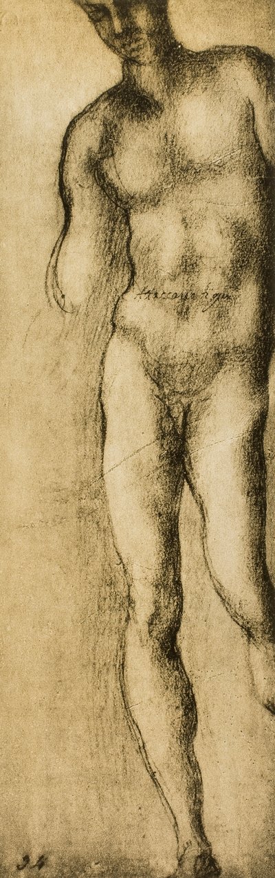 Studie av en maskulin figur, teckning av Michelangelo. Casa Buonarroti, Florens av Michelangelo Buonarroti