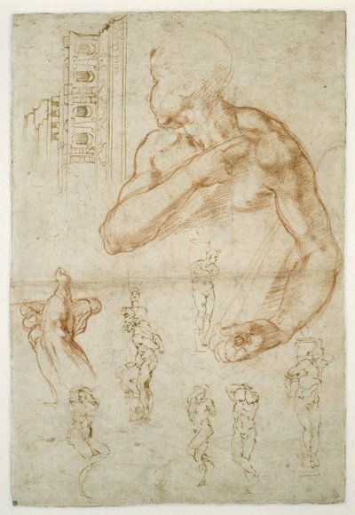 Studie av den libyska sibylens assisterande figur, ca 1512 (röd krita och penna på papper) av Michelangelo Buonarroti