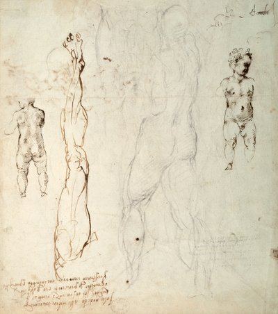 Studie av Kristusbarnet och en anatomisk teckning med anteckningar (svart krita och brunt bläck på papper) (verso) av Michelangelo Buonarroti