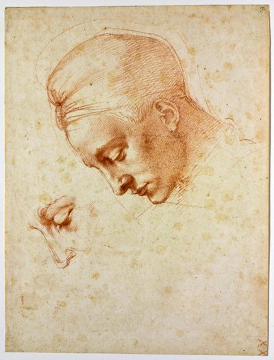 Studera till chefen för Leda, ca 1530 av Michelangelo Buonarroti