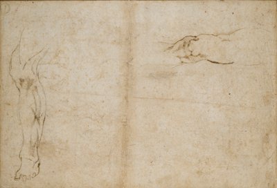Verso: Studier av en mans ben, c1490-1560 av Michelangelo Buonarroti