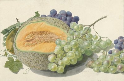 En melon, druvklasar, en persika och hasselnötter av Michiel Van Huysum