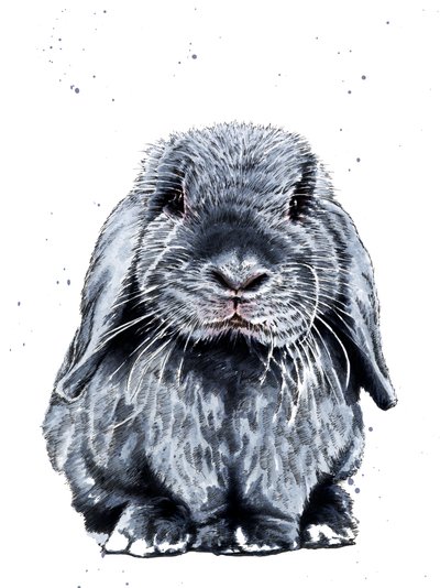 Grey One The Bunny on White, 2019 av Mike Davis