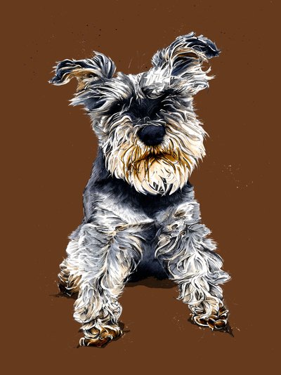 Ollie Schnauzern på bränd apelsin, 2020 av Mike Davis
