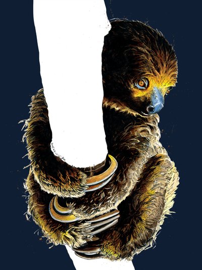 Talita The Sloth on Midnight Blue, 2020 av Mike Davis