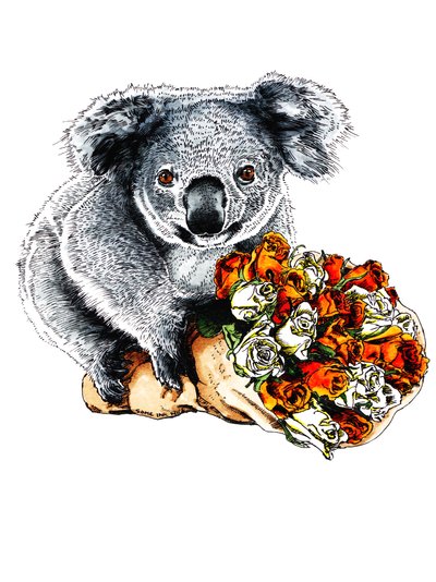 Tack Koala on White, 2020 av Mike Davis