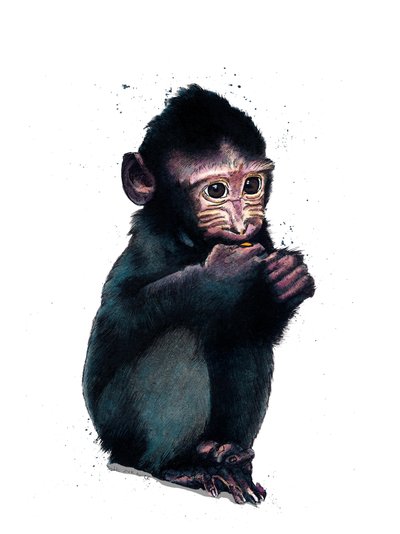 The Baby Makaque on White, 2020 av Mike Davis