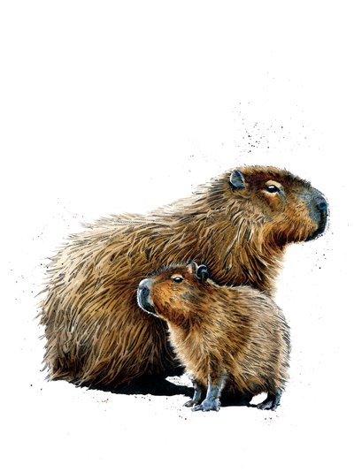 Capybaras on White, 2019 av Mike Davis