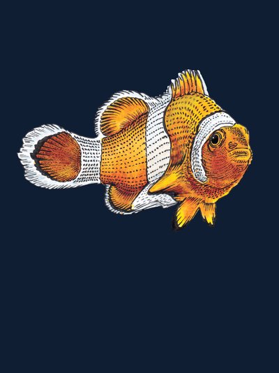 Clownfisken på midnattsblått, 2022 av Mike Davis