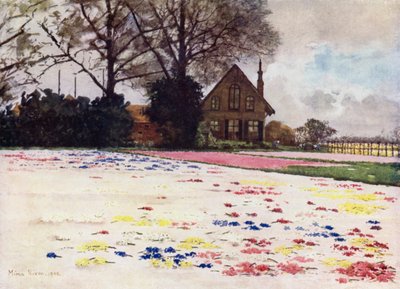 Hyacinter utspridda på sanden (färg litho) av Mima Nixon