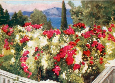 Rosens pergola, Achilleion, Korfu av Mima Nixon