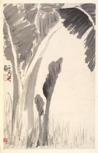 Bananväxter, 1788. av Min Zhen