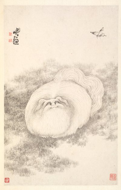 Katt och fjäril, 1788. av Min Zhen