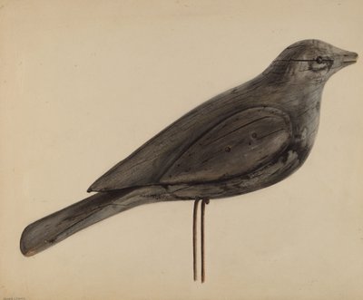 Decoy (mås) av Mina Lowry
