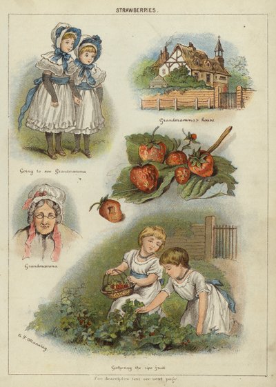 Jordgubbar (chromolitho) av Miss Eliza F. Manning