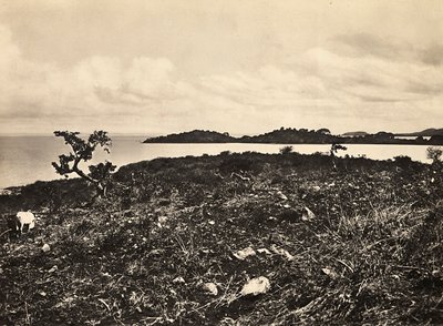 Att bygga ett imperium i den fascistiska tidsåldern: Lake Tana. Etiopien, 1936-05-09 (s/v-foto) av Modestino Baldinetti