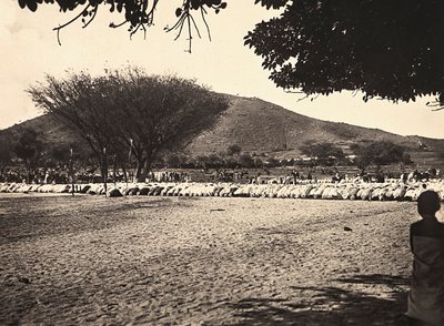 Bygga ett imperium i den fascistiska tidsåldern: Ramadanbön, 1936-05-09 (s/v foto) av Modestino Baldinetti