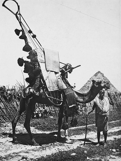 Att bygga ett imperium i den fascistiska tidsåldern: kamel med finesser för en bröllopsceremoni, 1936-05-09 (s/v foto) av Modestino Baldinetti