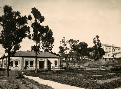 "Building an Empire" i den fascistiska tidsåldern: krets av tjänstemän i Asmara, 1936-05-09 (s/v foto) av Modestino Baldinetti