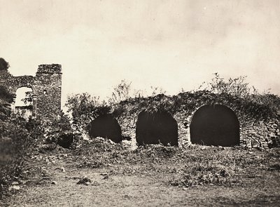 Att bygga ett imperium i den fascistiska tidsåldern: lejonens dike i kung Fasiladas slott i Gondar, Etiopien, 1936-05-09 (s/v foto) av Modestino Baldinetti