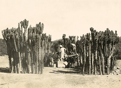 Att bygga ett imperium i den fascistiska tidsåldern: väl på Nacfa, 1936-05-09 (s/v foto) av Modestino Baldinetti