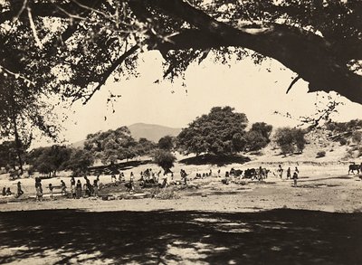 Att bygga ett imperium i den fascistiska tidsåldern: brunnar på den nedre slätten, 1936-05-09 (s/v foto) av Modestino Baldinetti