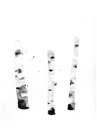 Ghost Birch, 2022 (akvarell på Langton, 300 g/m² kallpressat papper) av Monica Perez Vega