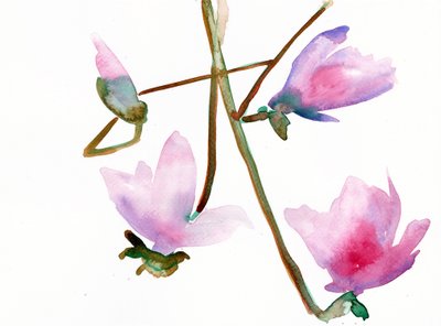 Magnolia 1, 2022 (akvarell på Langton, 300 g/m² kallpressat papper) av Monica Perez Vega