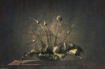 Mörkt botaniskt stilleben av Monique van Velzen