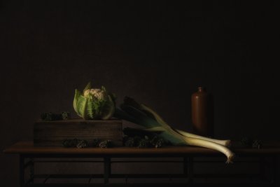 Stilleben – ”Dark Harvest” av Monique van Velzen