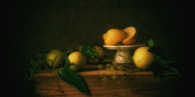 Stilleben med en melankolisk citron av Monique van Velzen