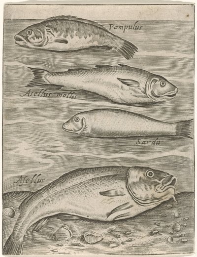 Studieblad met vier vissen Fisk live-ikoner (serietitel) av Monogrammist P+P