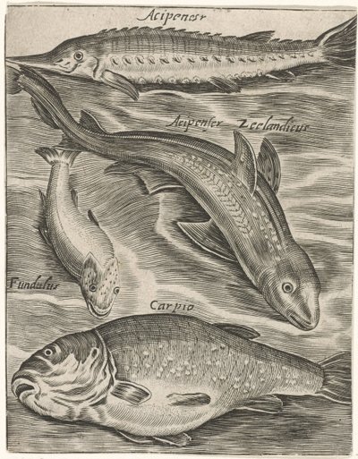 Studieblad met vissen Fisk live-ikoner (serietitel) av Monogrammist P+P