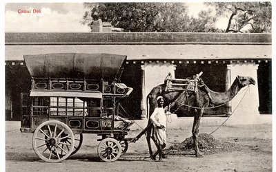 Camel Dak, ca 1911-12 (sepiafoto) av Moorli Dhur and Sons