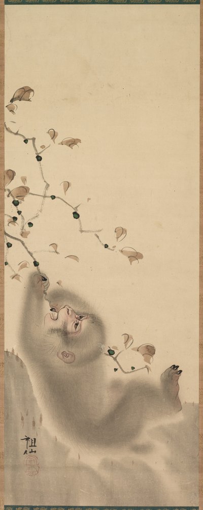 Monkey som hänger på en gren, 1780. av Mori Sosen