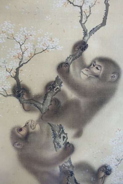 Apor i ett blommande körsbärsträd, 1 av 2, Mori Sosen, Japan, Edo-perioden, tidigt 1800-tal, bläck och färg på siden - Arthur M. Sackler Museum, Harvard University - DSC01127 av Mori Sosen