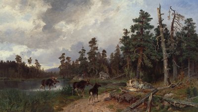 Älg och jägare i tallskog av Morten Muller
